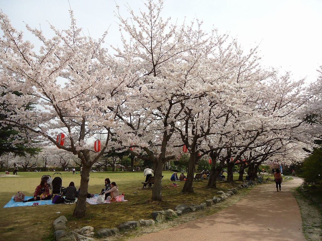 ファイル 36-1.jpg