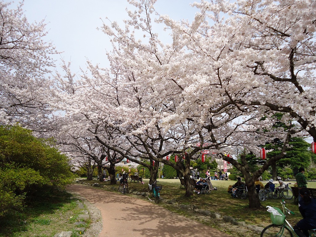 ファイル 36-2.jpg