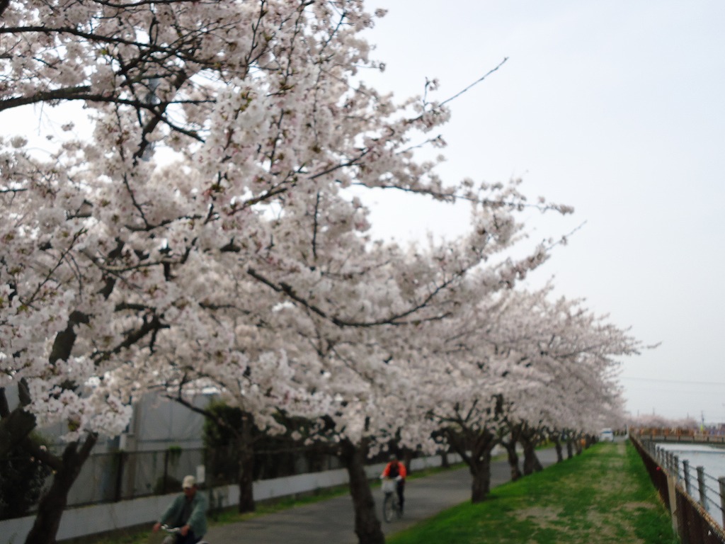 ファイル 37-2.jpg