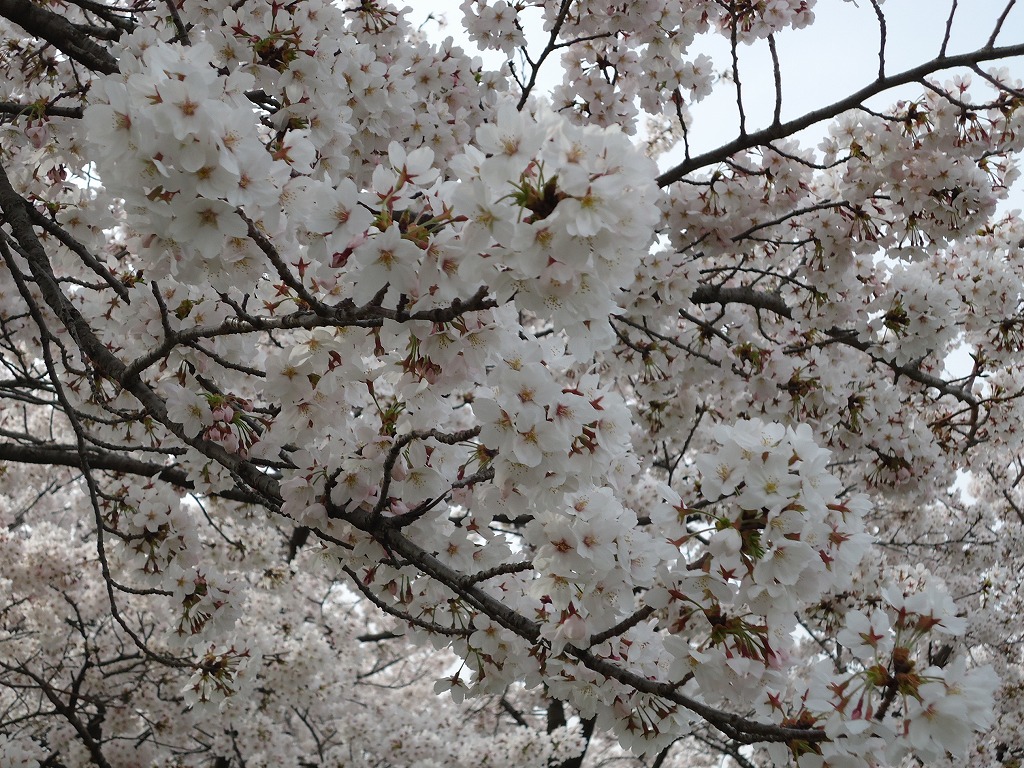 ファイル 37-3.jpg