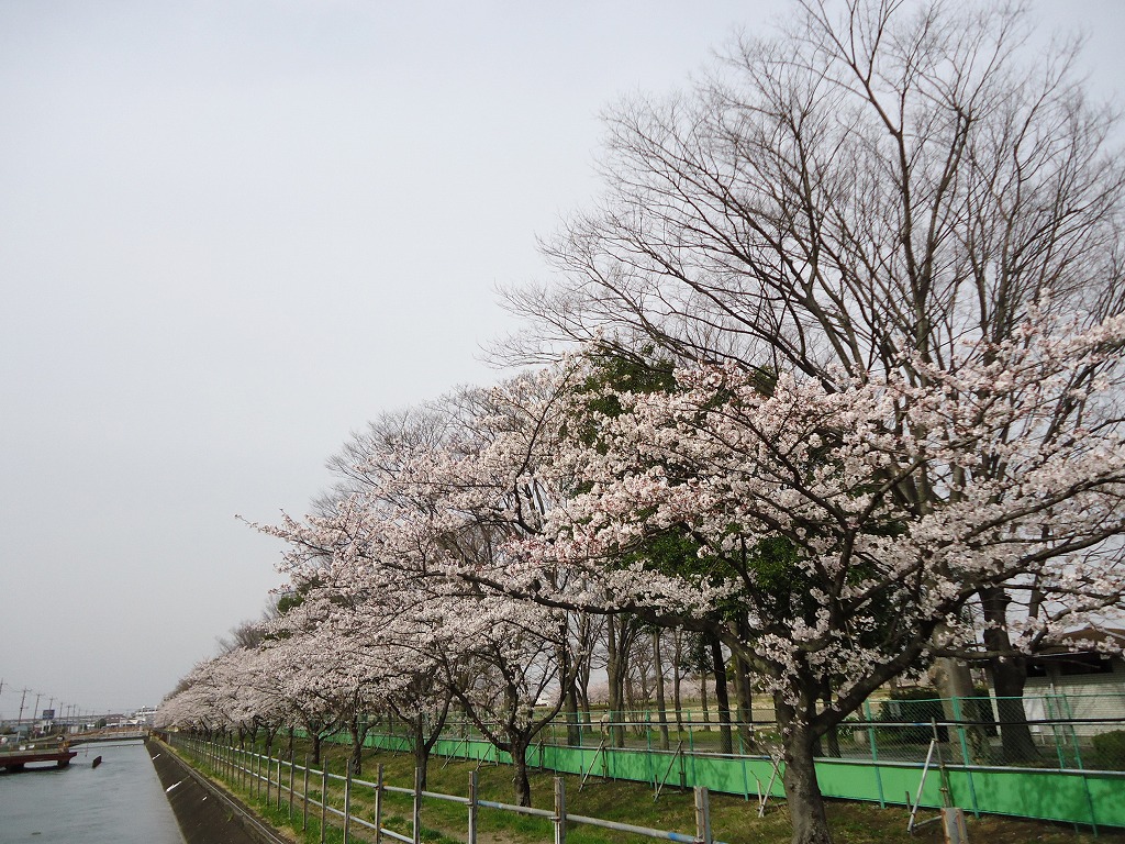 ファイル 38-1.jpg