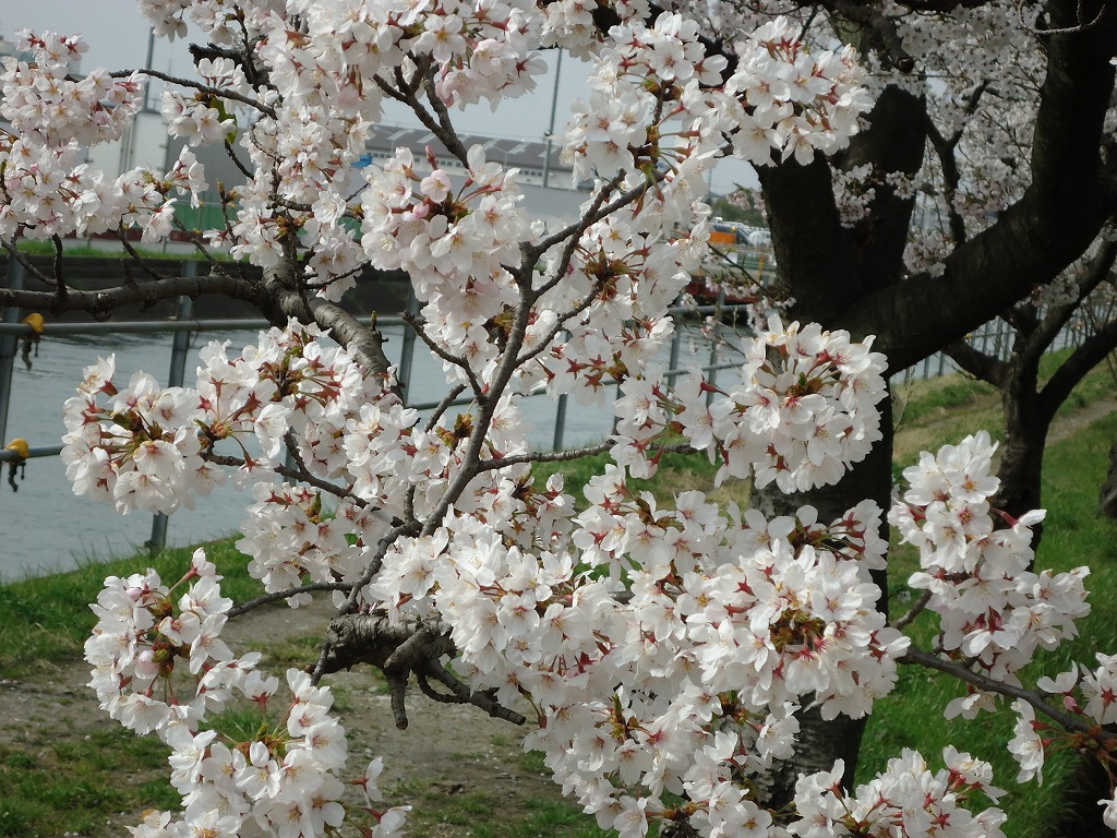 ファイル 38-2.jpg