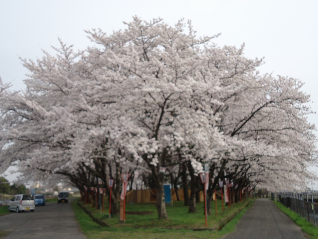 ファイル 39-1.jpg