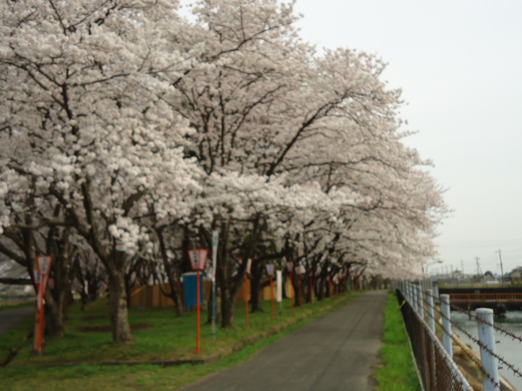 ファイル 39-2.jpg