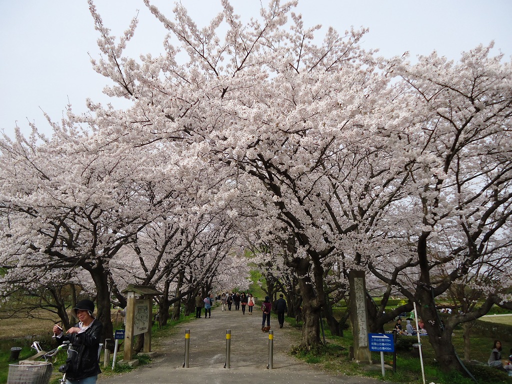 ファイル 40-1.jpg