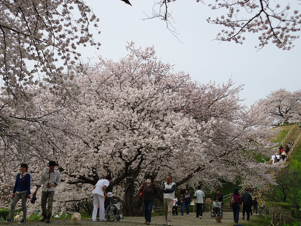 ファイル 40-2.jpg