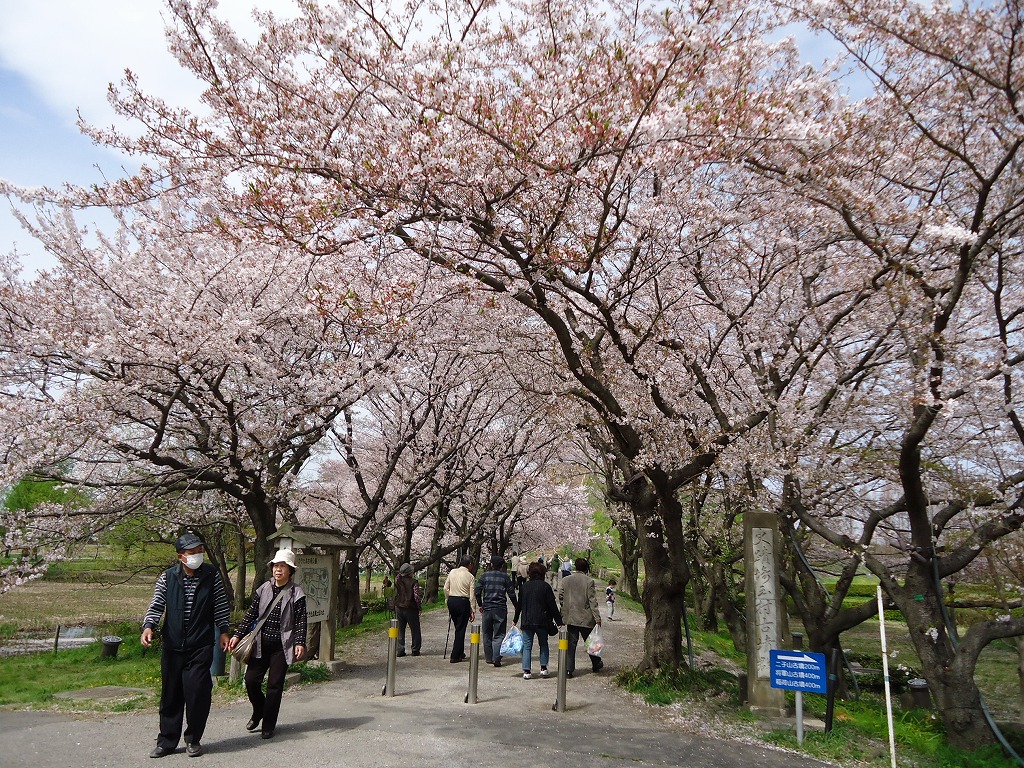 ファイル 41-1.jpg