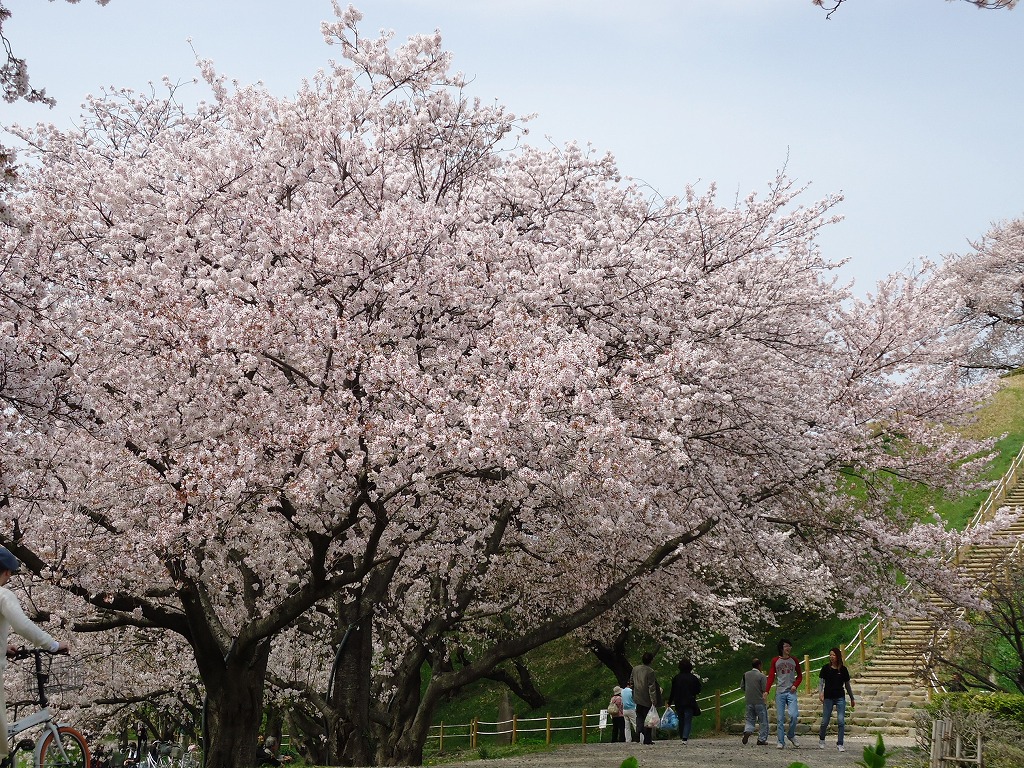 ファイル 41-2.jpg