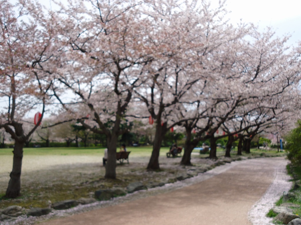 ファイル 42-1.jpg