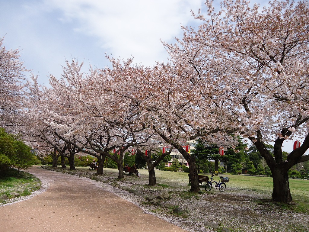 ファイル 42-2.jpg