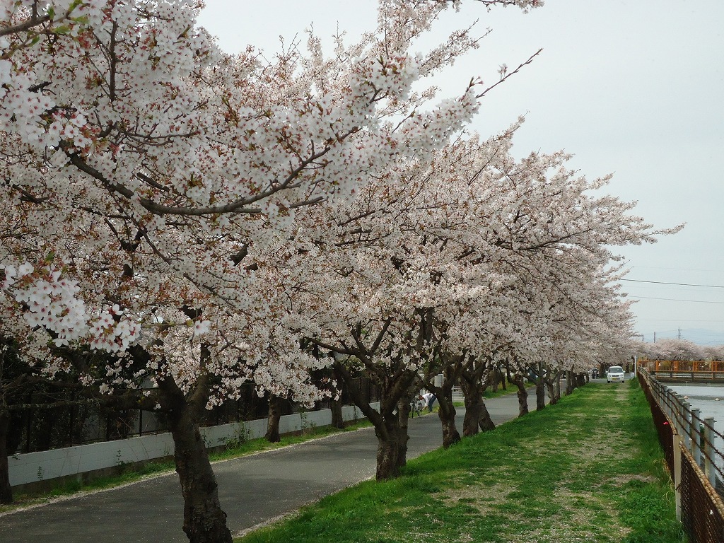 ファイル 43-2.jpg