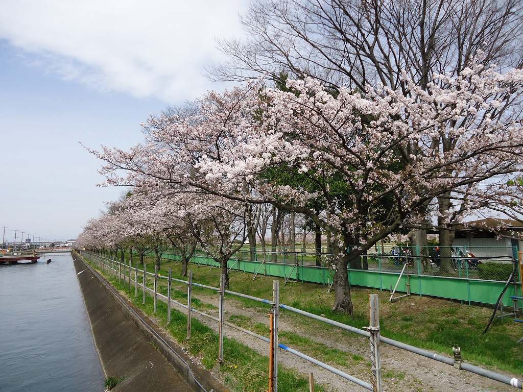 ファイル 44-1.jpg