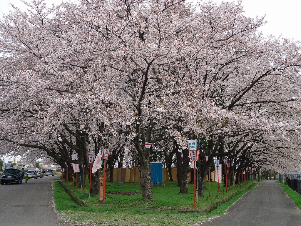 ファイル 45-1.jpg