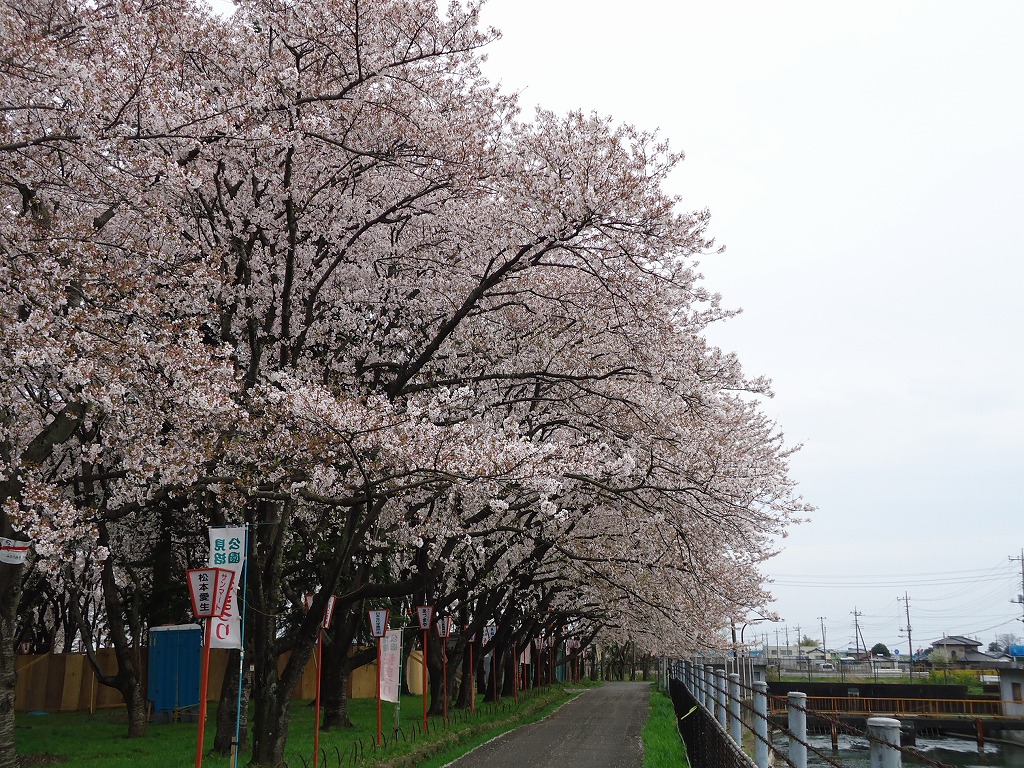 ファイル 45-2.jpg